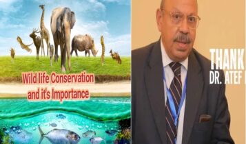د عاطف كامل خبير دولي في الحياة البرية