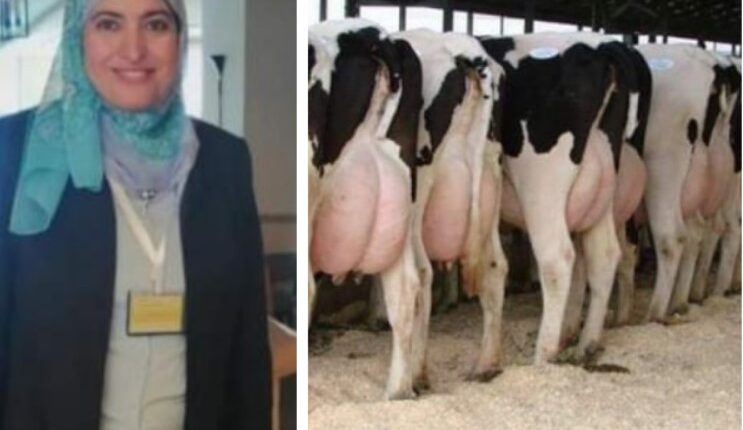 د صفاء سند وأفضل مشروع لإنتاج الألبان