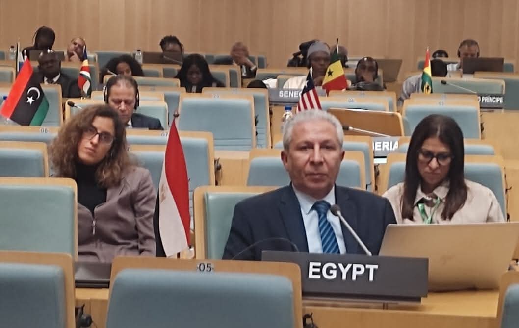 د صلاح مصيلحي رئيس جهاز تنمية البحيرات خلال إجتماعات الإتحاد الأفريقي